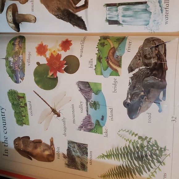 My first word books perfect for older baby and toddlers please read till the end - Picture 4 of 9